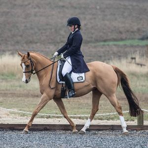 Meet your Posher, Tara